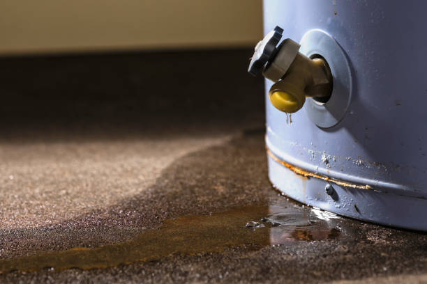 Best Professional water damage repair  in Rkesburg, PA