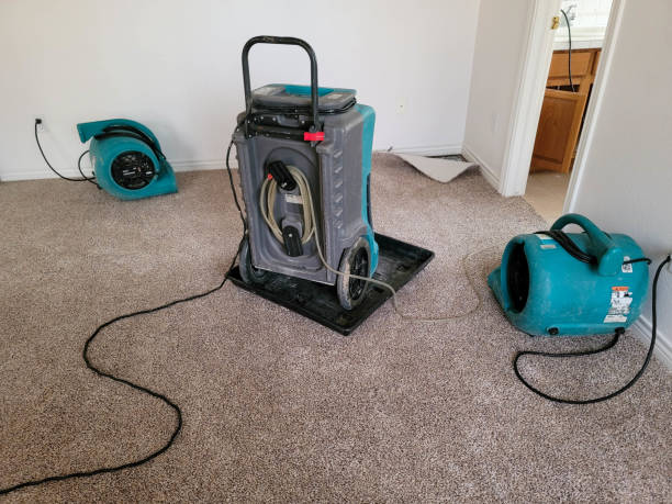 Best Residential water damage restoration  in Rkesburg, PA