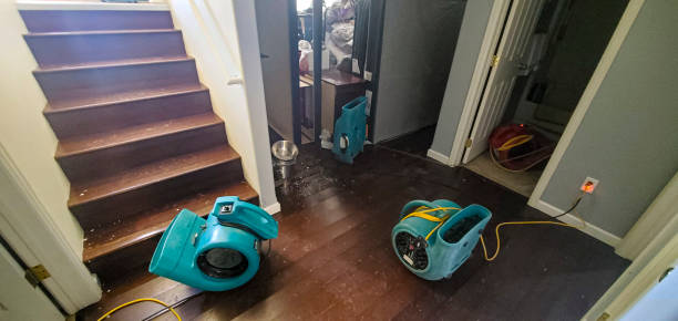 Best Carpet water damage restoration  in Rkesburg, PA