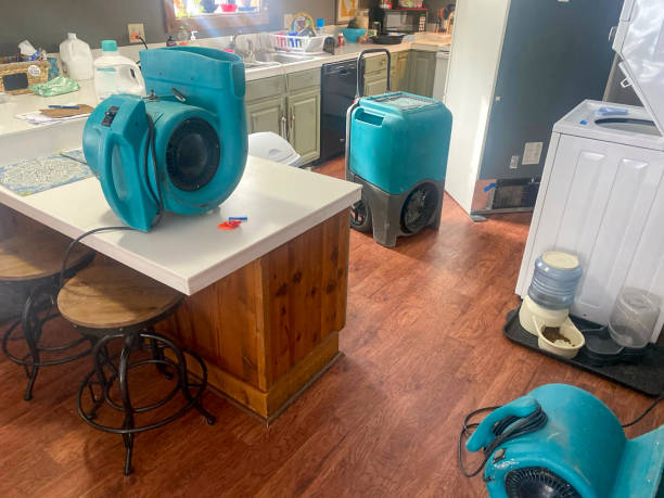 Best Water damage contractors near me  in Rkesburg, PA