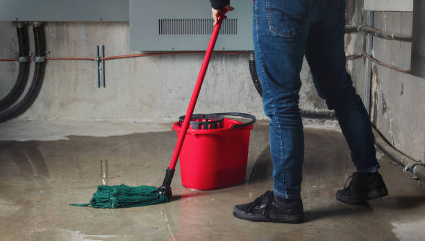 Best Fire Damage Restoration  in Rkesburg, PA