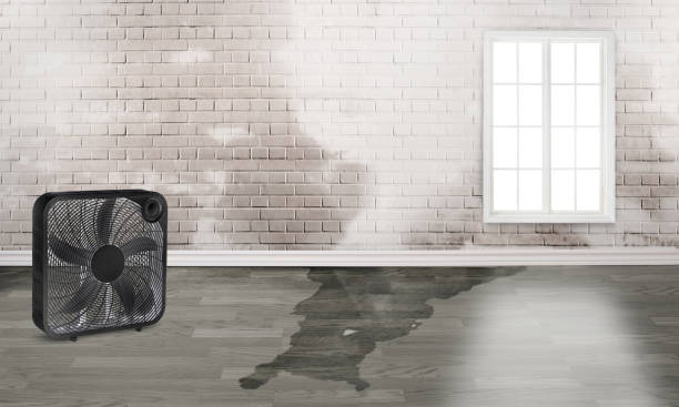 Best Commercial water damage restoration  in Rkesburg, PA