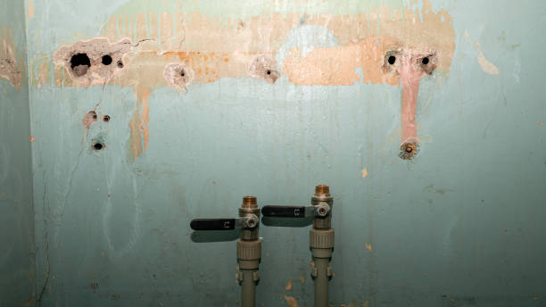 Best Flood restoration services  in Rkesburg, PA