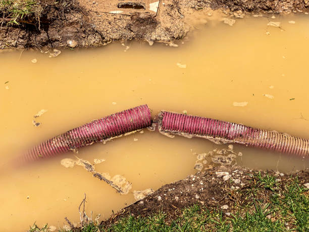 Best Basement water damage restoration  in Rkesburg, PA