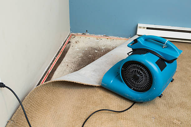 Best Flooded house restoration  in Rkesburg, PA